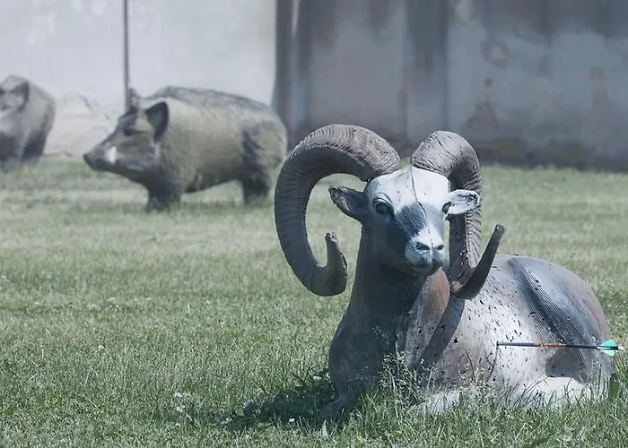 Station touristique Archery Nova Ves I